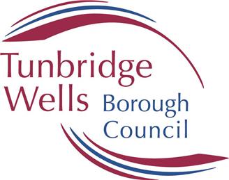 TWBC Electoral System Public Consultation