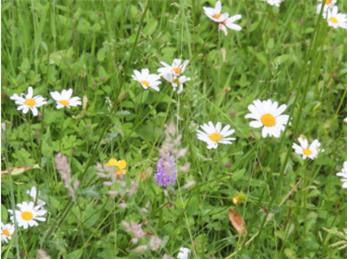 Autumn E-Newsletter out now