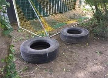  - Fly-tipping at Langton Green Recreation Ground